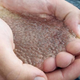 Image for article titled Some of Canada's Lakes Are Turning Into Jelly Thanks to Acid Rain